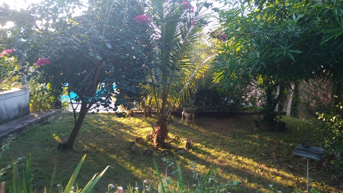 Prédio Inteiro - Foto 7